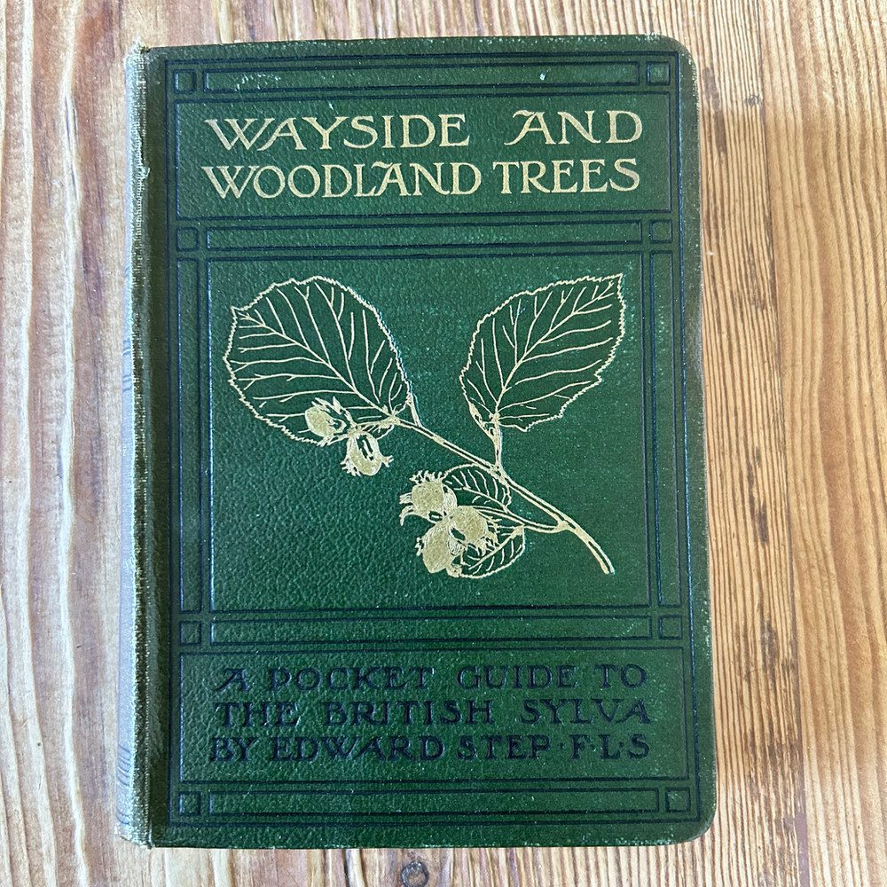 Wayside and Woodland Trees: A Pocket Guide to the British Sylva by Edward Step - Image 2