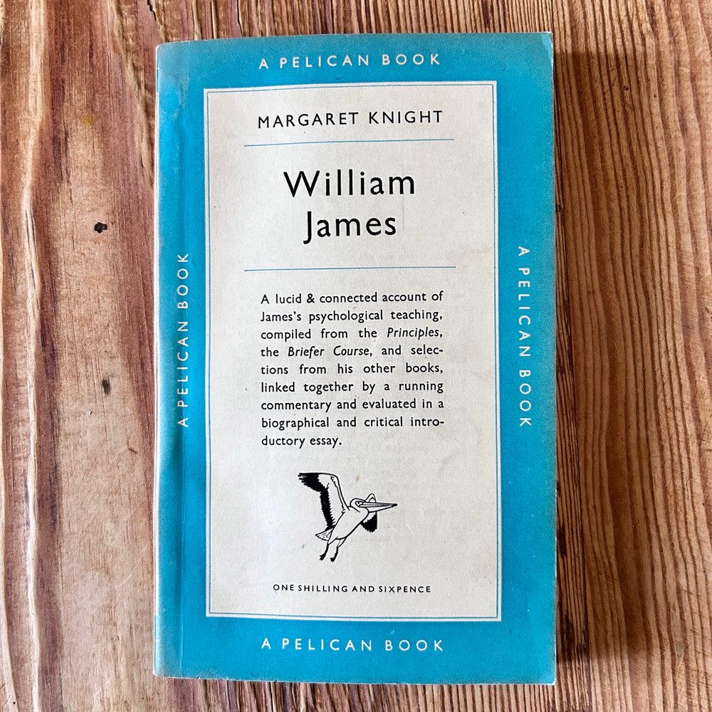 William James by Margaret Knight c1950 First Edition Pelican Biography - Image 2