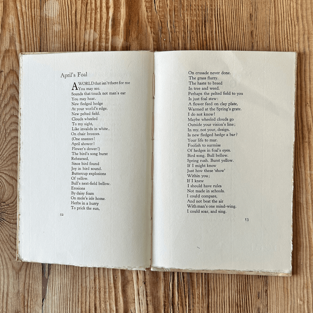 April's Foal by Cecil Howard Lay RARE 1st Limited Edition 27/59 c1932 Poetry - Image 4