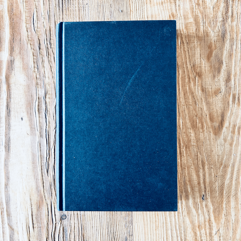 Nemesis by Philip Roth c2010 First Edition Thriller - Image 5
