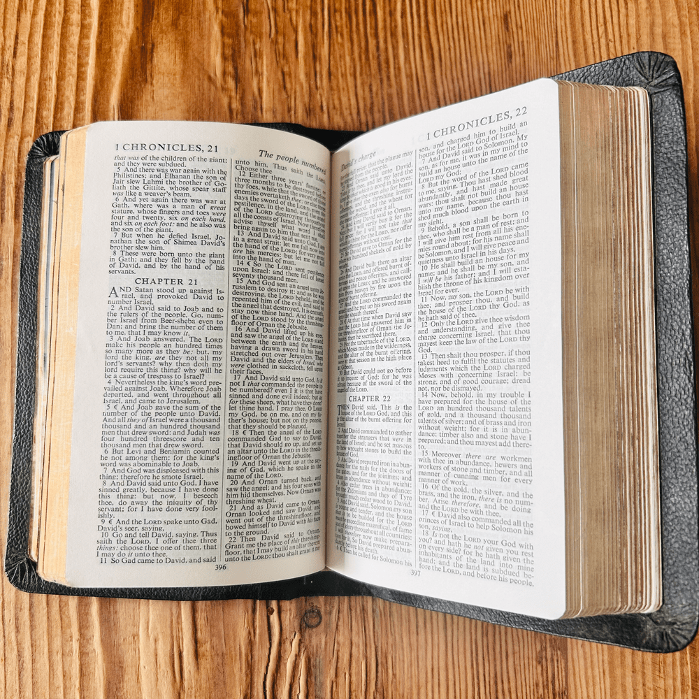Collins Illustrated Holy Bible c1963 King James Version Boxed - Image 4