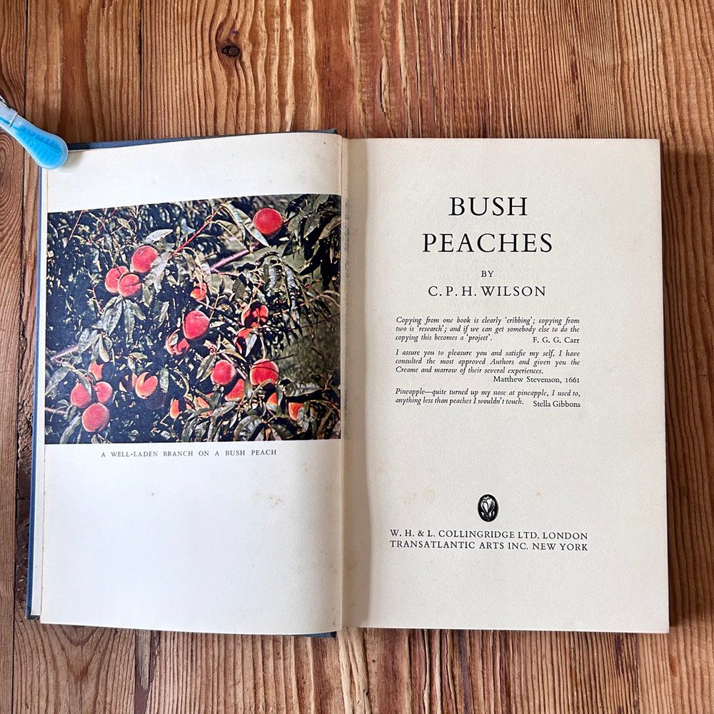 Bush Peaches by C P H Wilson c1958 1st Edition Gardening. - Image 3