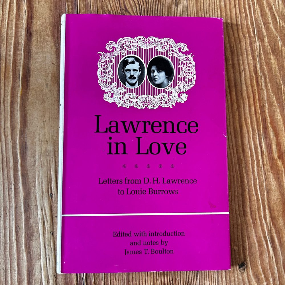 Lawrence in Love by James T Boulton c1968 First Edition - Image 3