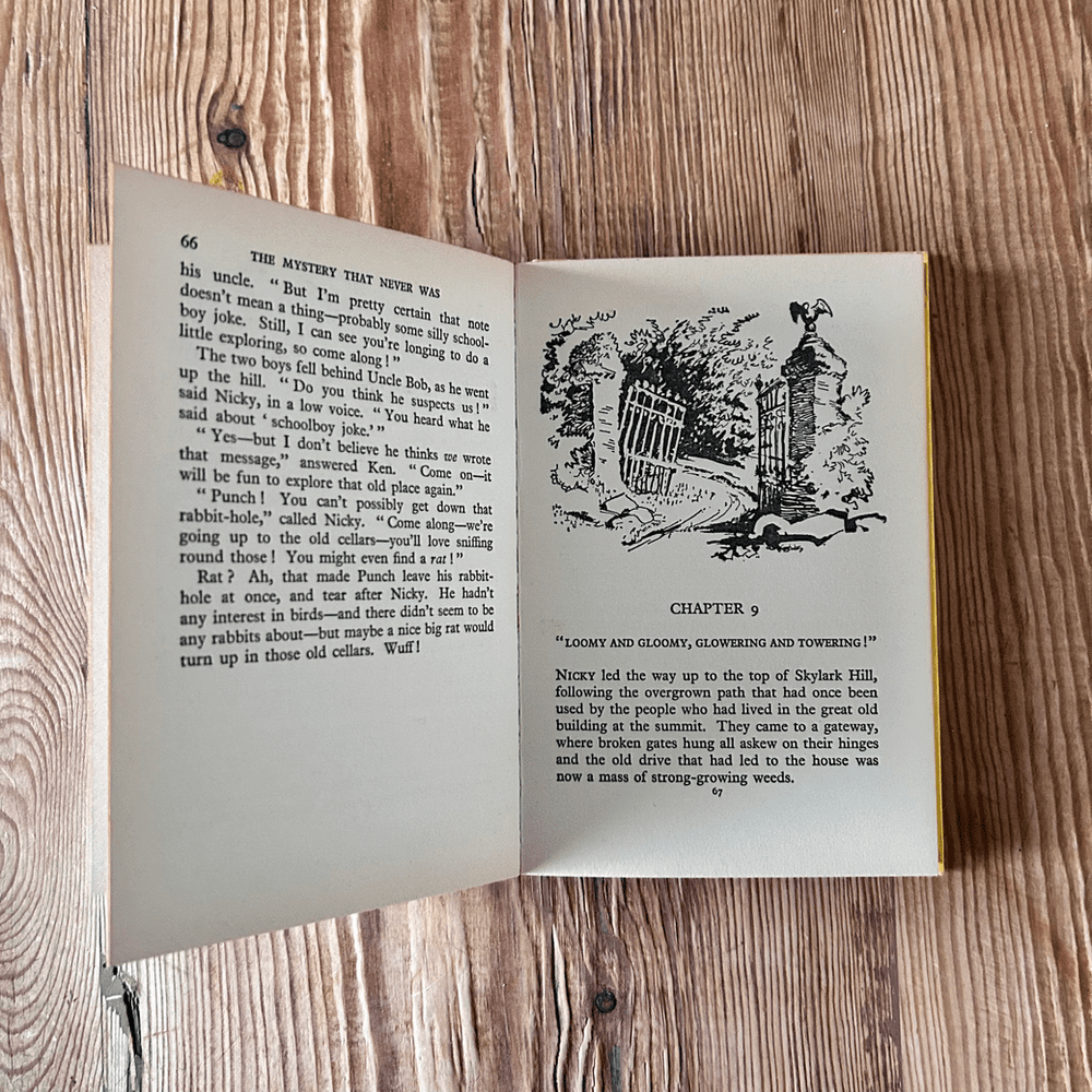 The Mystery That Never Was by Enid Blyton c1967 Collins - Image 3