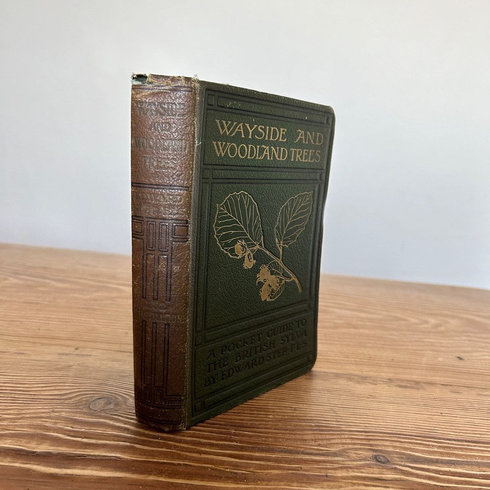 Wayside and Woodland Trees: A Pocket Guide to the British Sylva by Edward Step