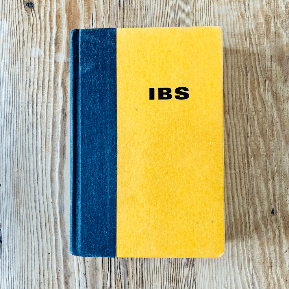 Shadows on the Hudson by Isaac Bashevis Singer c1998 First Edition - Image 4