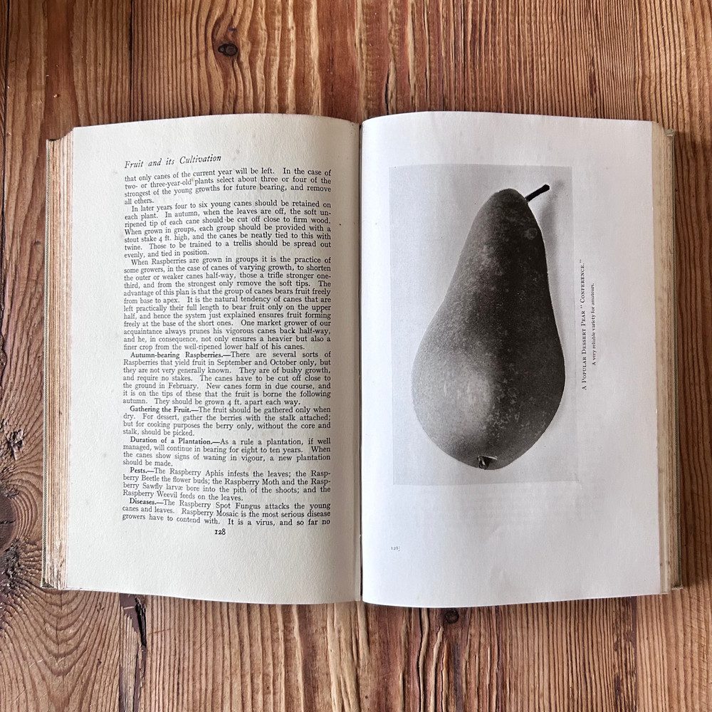 Fruit and Its Cultivation by T W Sanders undated 5th Edition - Image 3