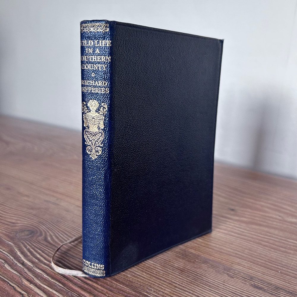 Wild Life In A Southern County by Richard Jefferies Wessex County