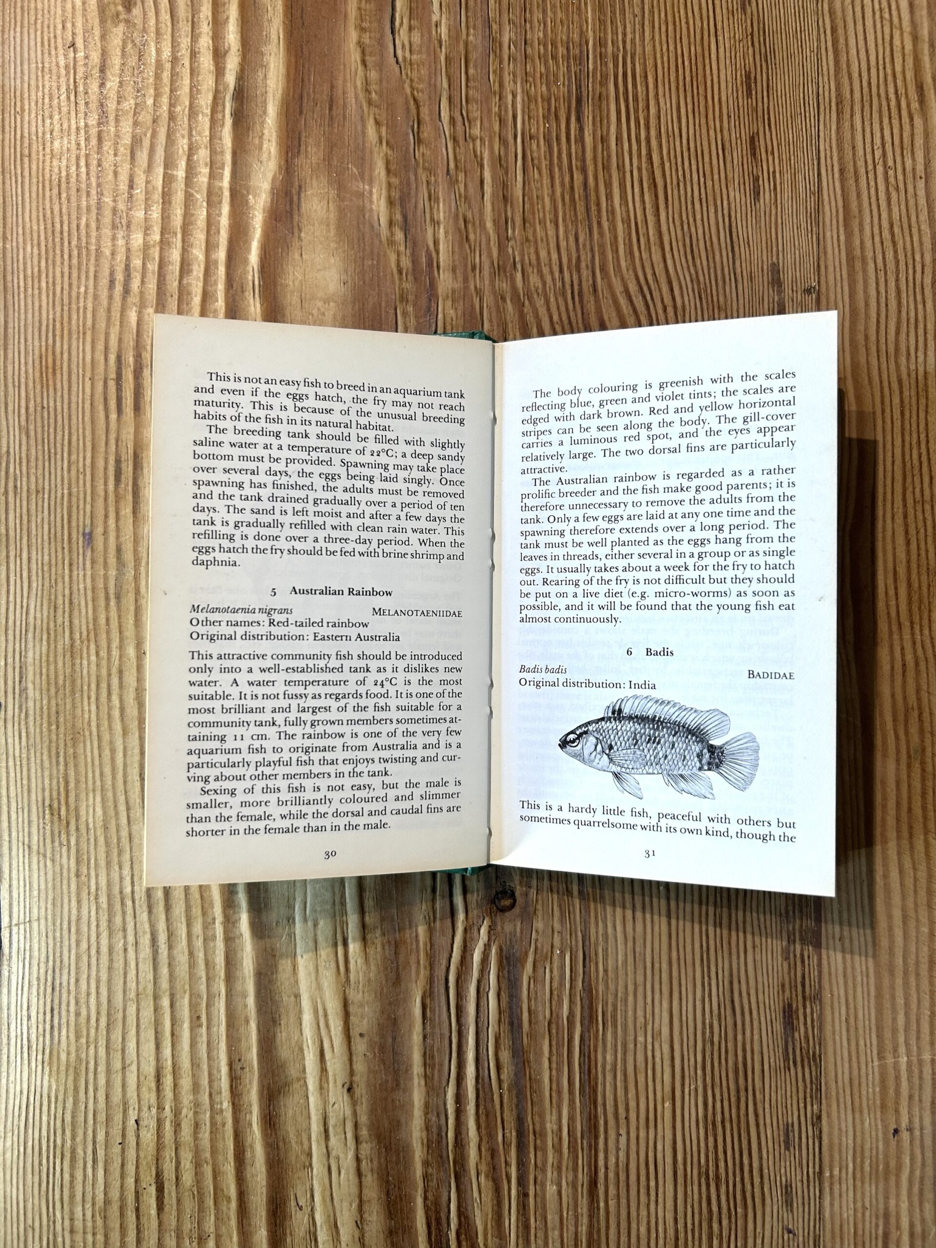 The Observer's Book of Tropical Fishes (#65) by Neil Wainwright c1978 5