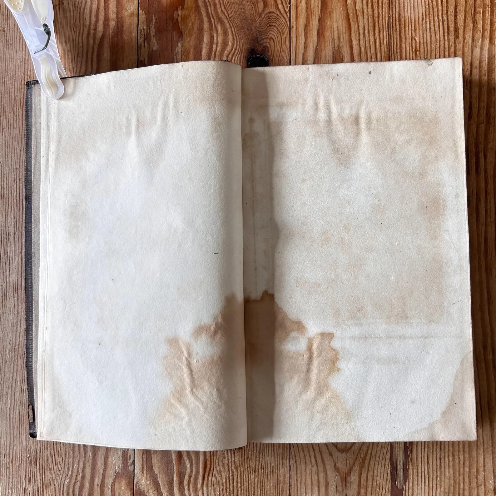An Essay on the Genius and Writings of Pope by Joseph Warton 1806 5th Edition Corrected Leather 2 Volume Antique Book Set Rare 19th Century - Image 7